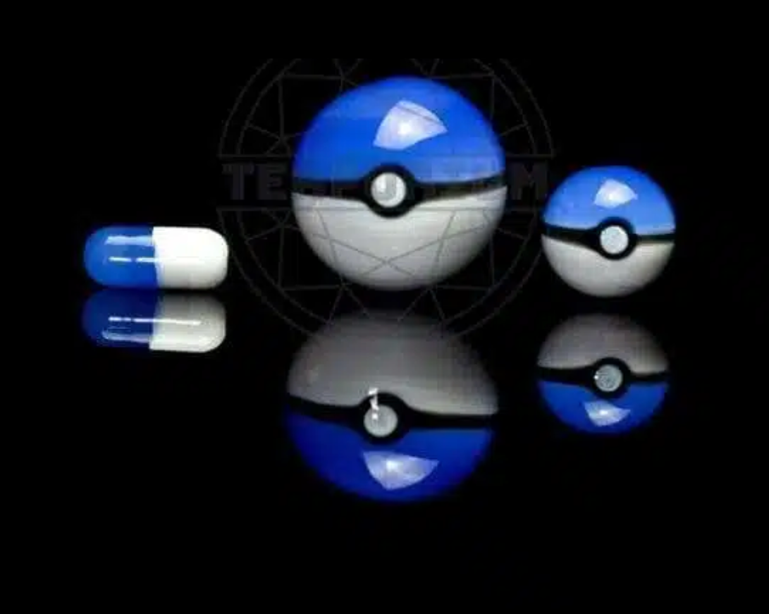 Terporium Pokemon Slurper Set