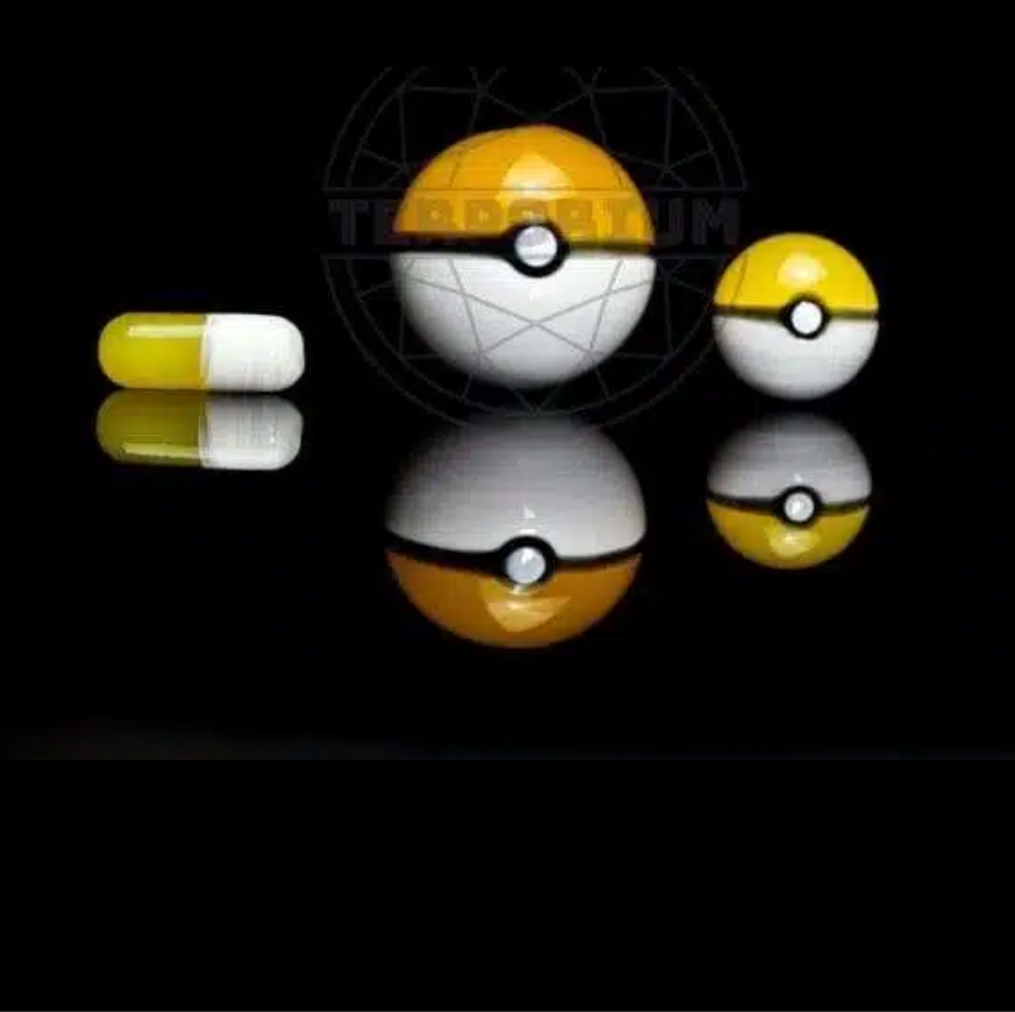 Terporium Pokemon Slurper Set