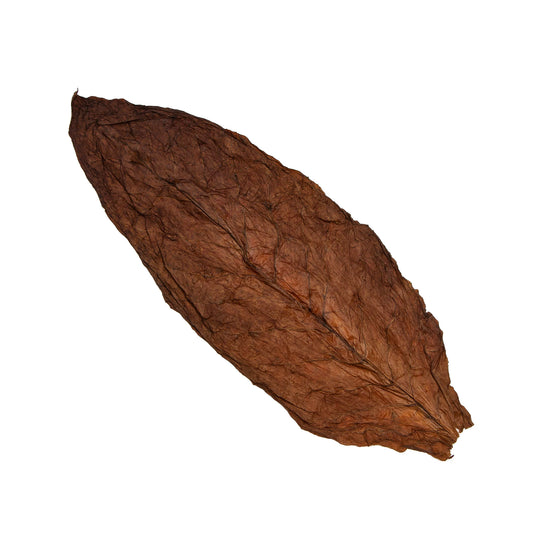 Fronto @ 6
