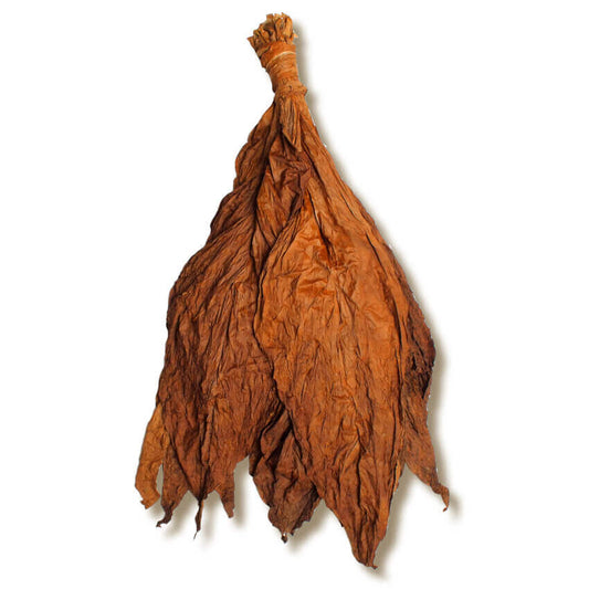 Fronto Pound